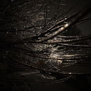 Meet your Posher, Tim